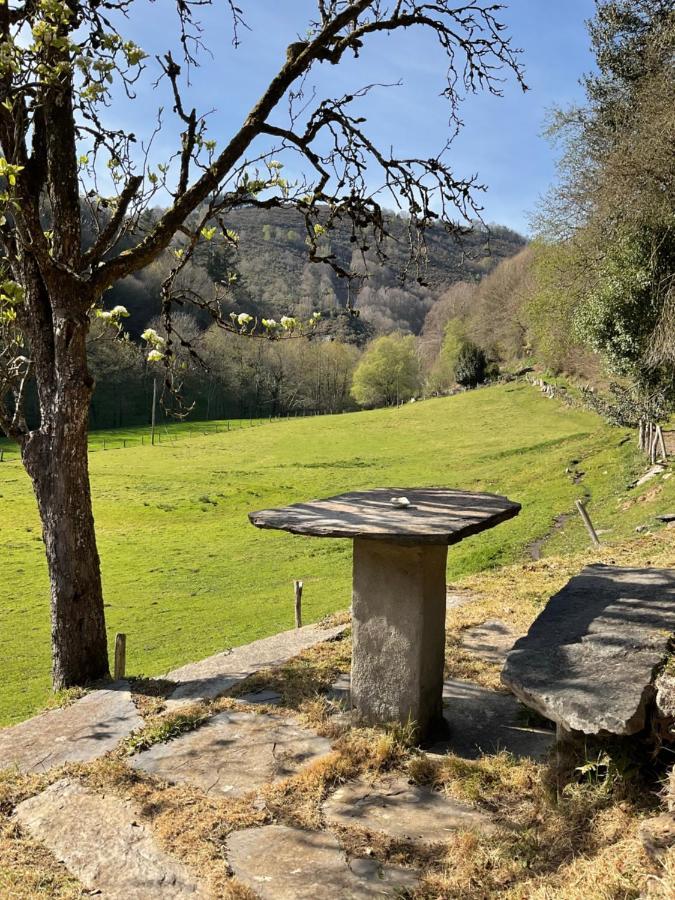 Casa Freixe Apartamentos Rurales サンタ・エウラリア・デ・オスコス エクステリア 写真